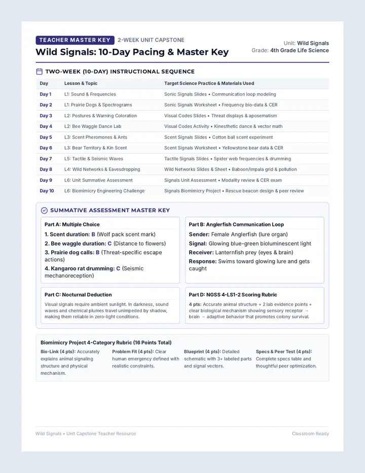 Signals Assessment Key