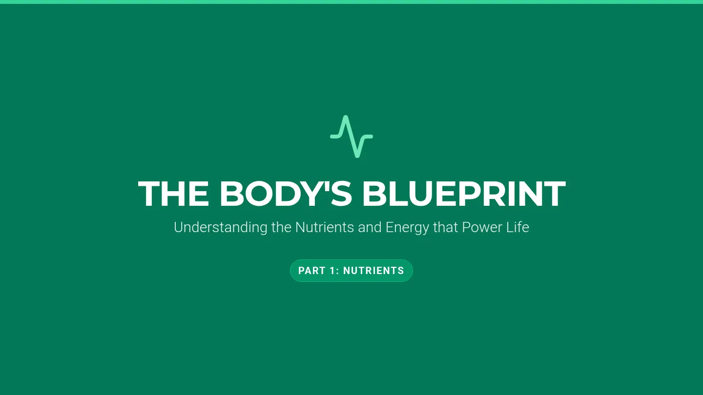 Body Blueprint Slides