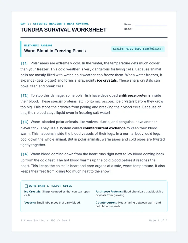Tundra Survival Worksheet