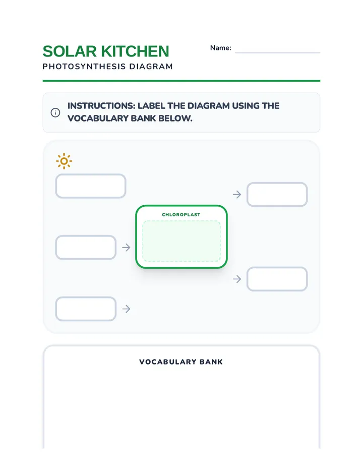 Solar Kitchen Graphic Organizer