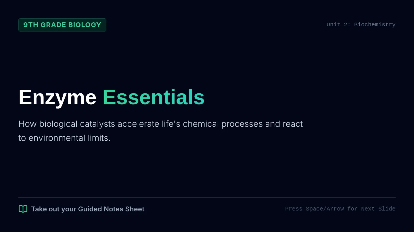Enzyme Essentials Slides