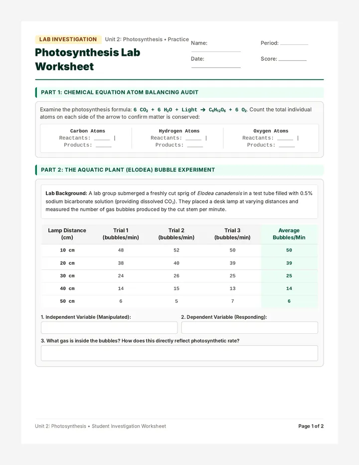 Photosynthesis Lab Worksheet