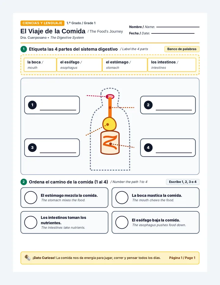 Food Journey Worksheet