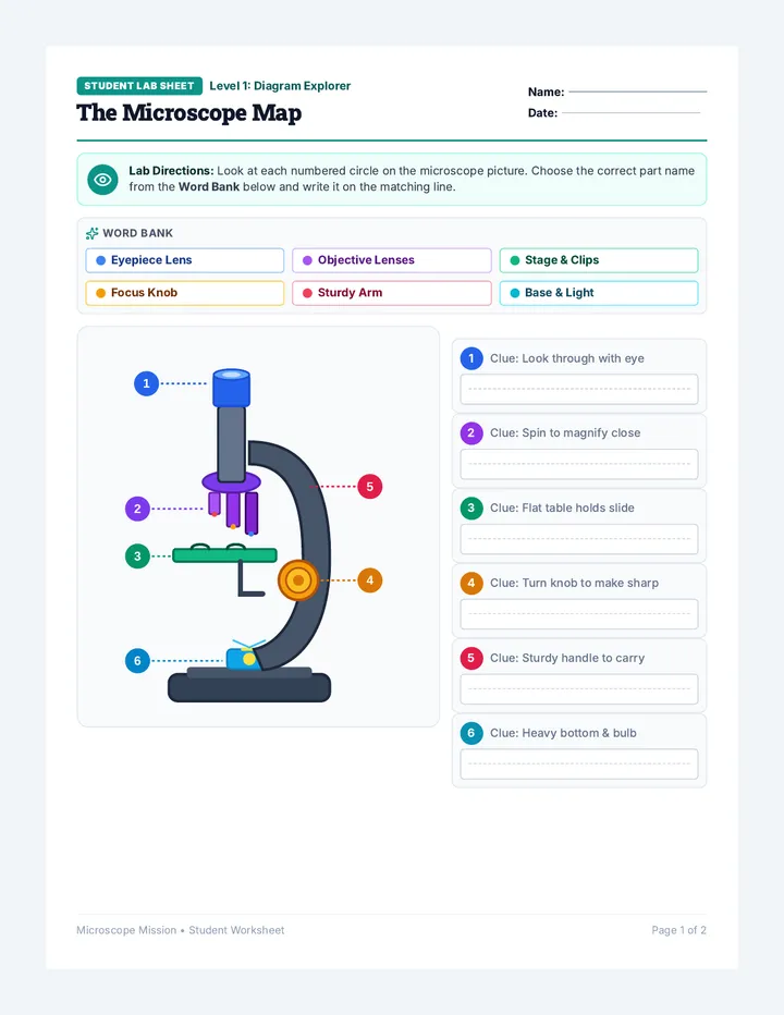 Microscope Parts Student Worksheet