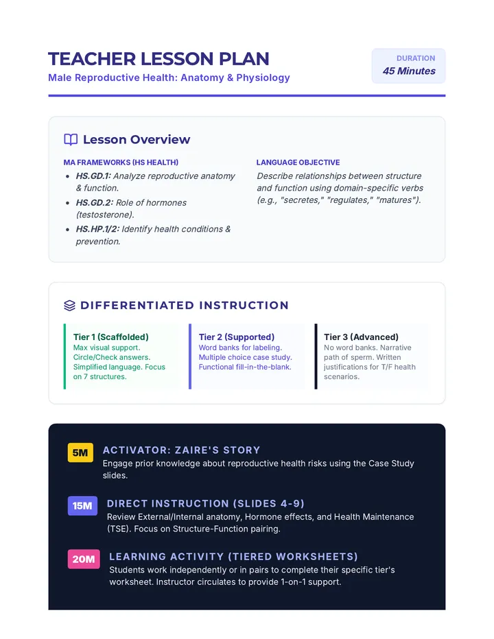 Male Reproductive Health Lesson Plan
