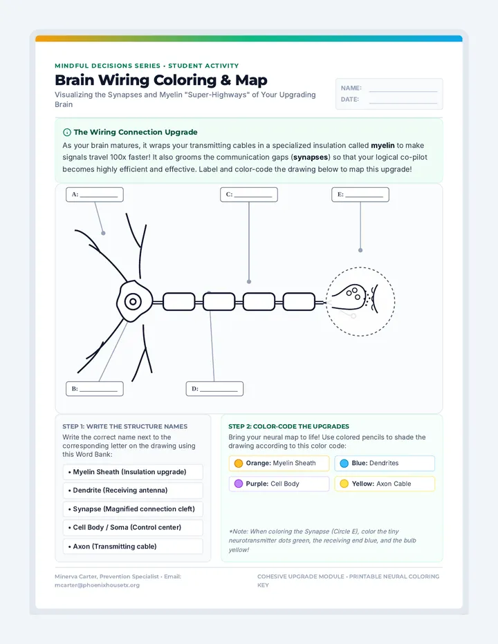 Brain Wiring Coloring Sheet