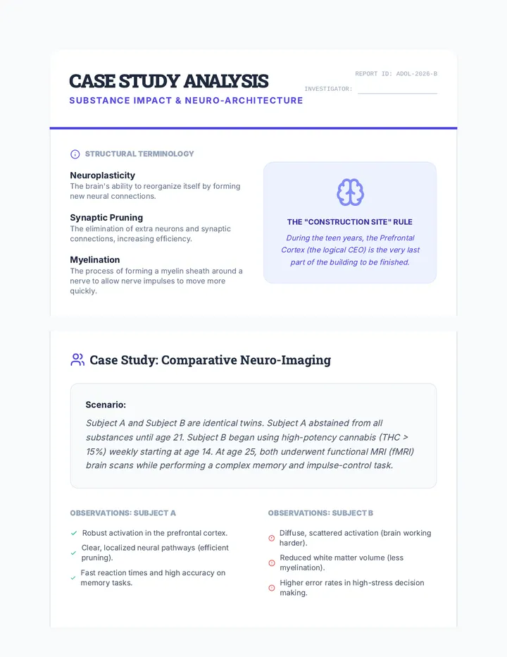 Brain Architecture Case Study