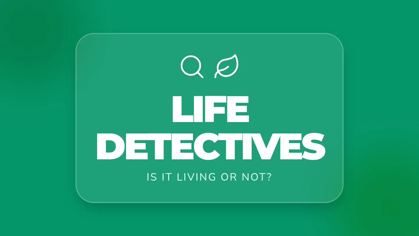 Life Detective Slides