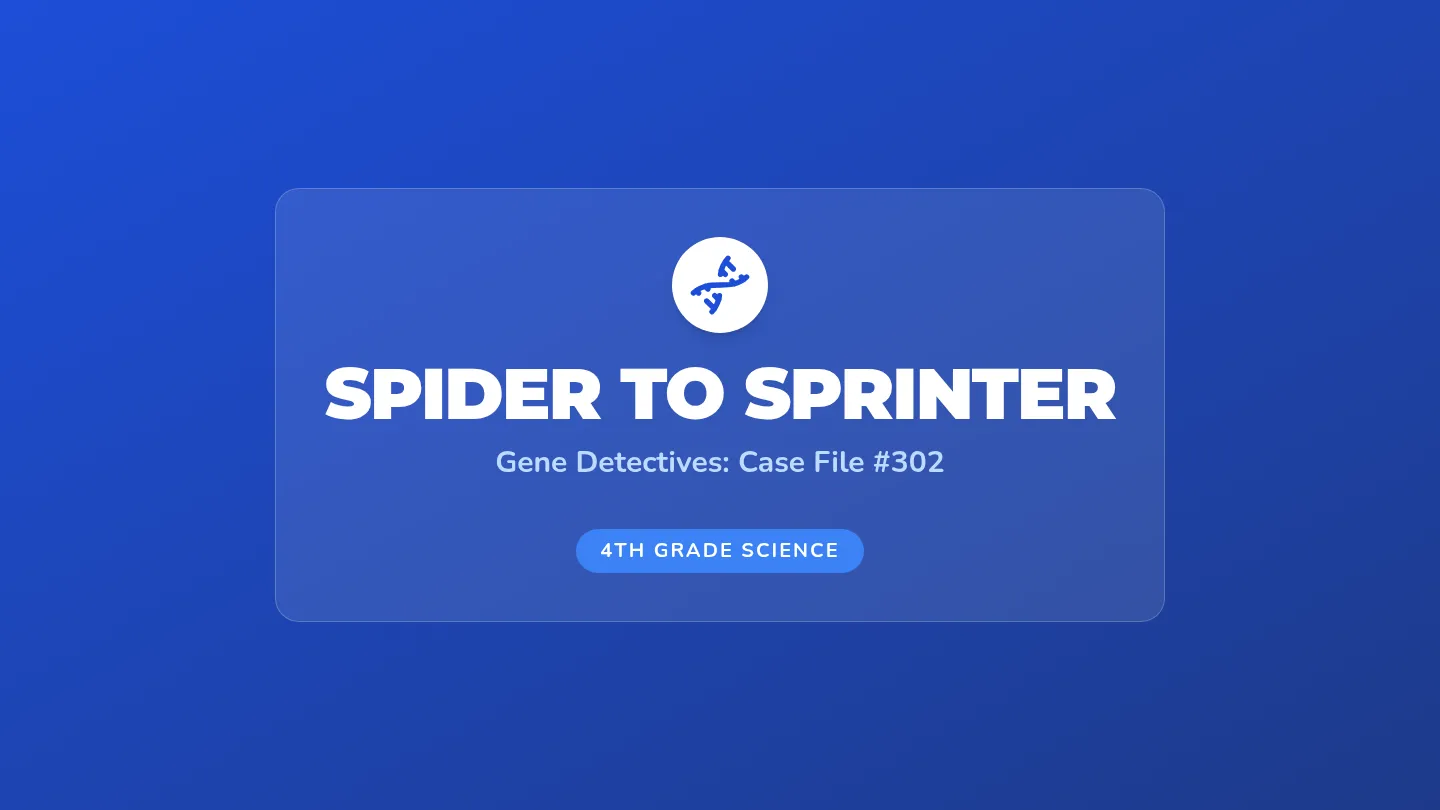 Spider to Sprinter Slides