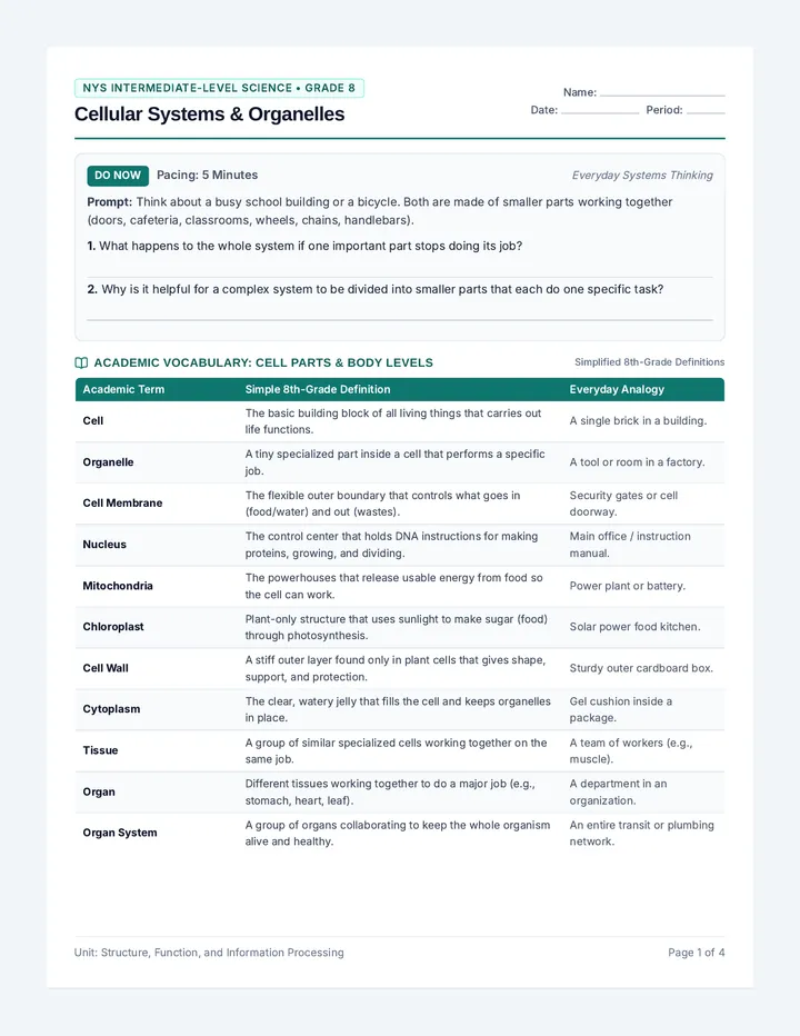 Cell Systems Worksheet