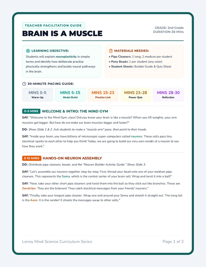 Brain Muscle Teacher Guide