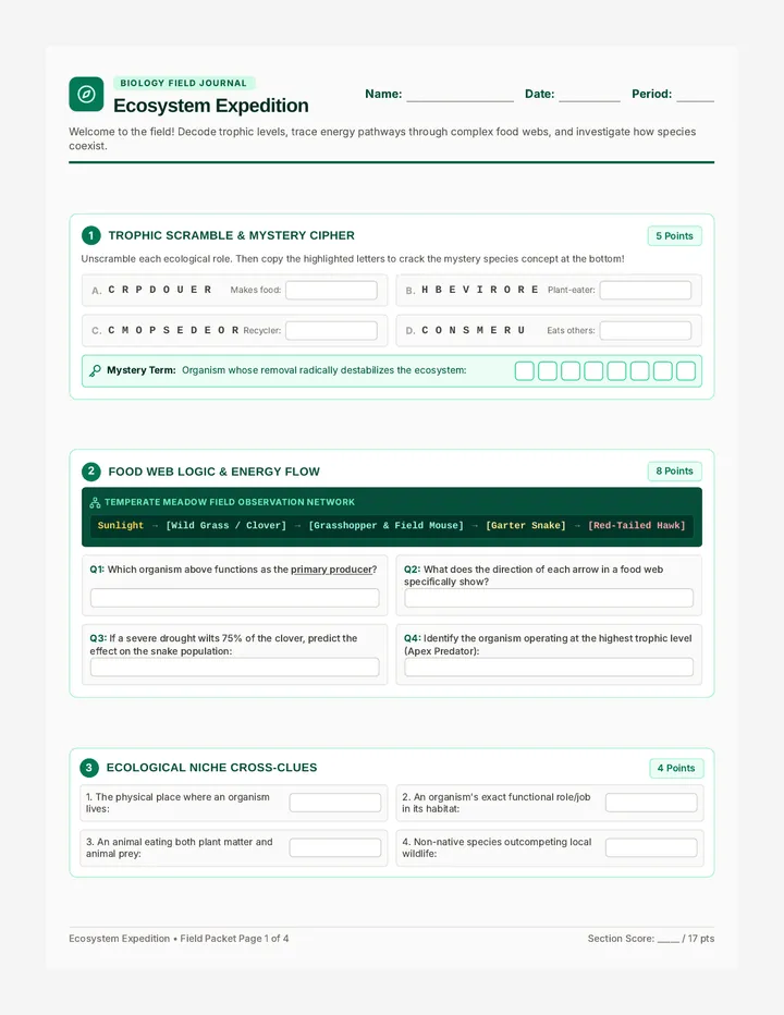 Ecosystem Expedition Activity Sheet