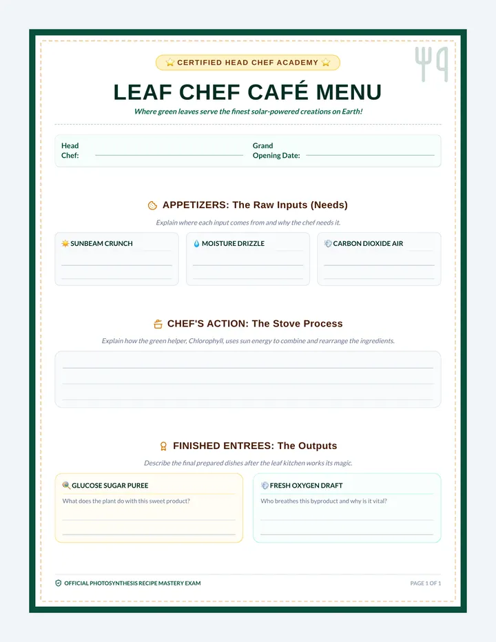 Chef Cafe Menu Assessment