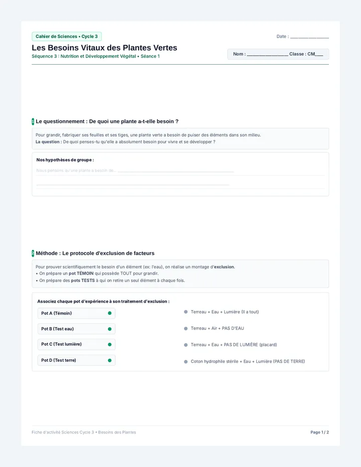 Besoins Plantes Fiche Élève