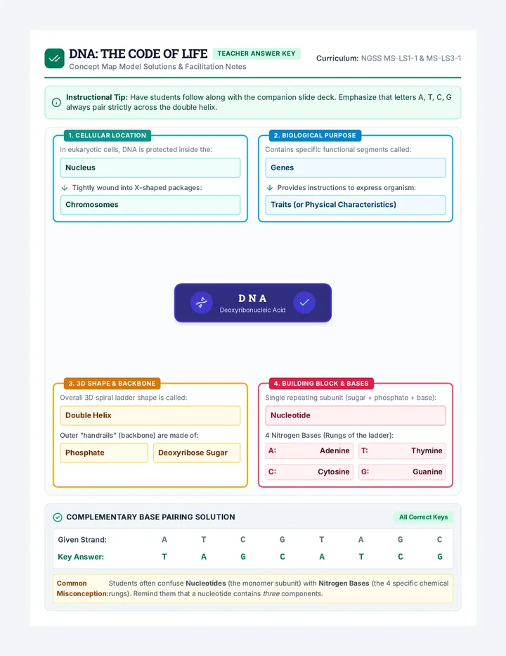 DNA Blueprint Answer Key
