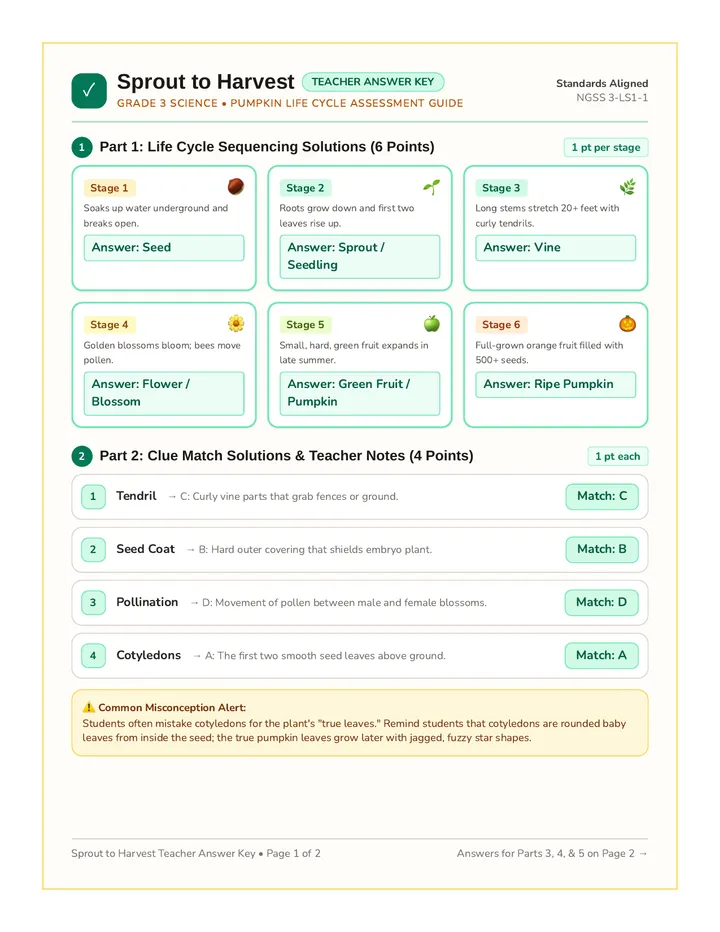 Sprout to Harvest Answer Key