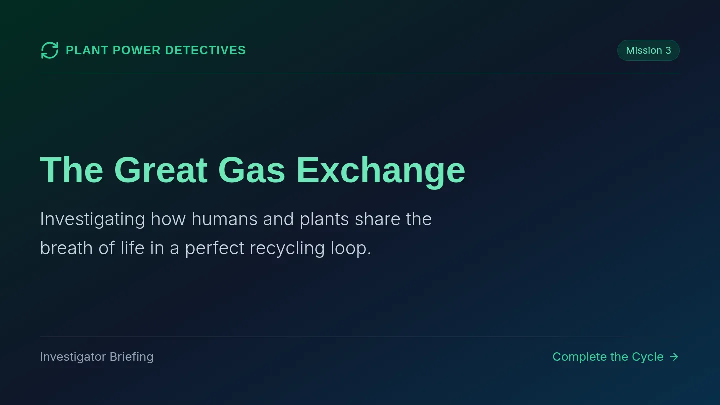 Great Gas Exchange Slides