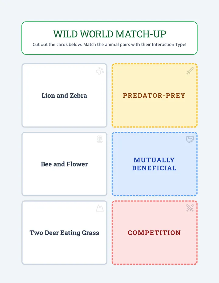 Wild World Matching Cards