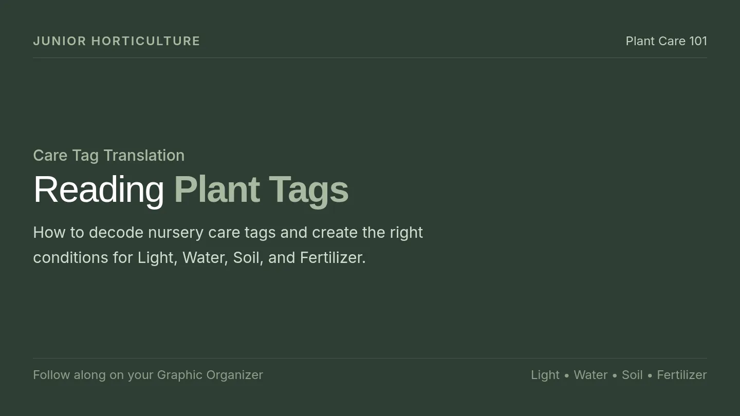 Foliage Fundamentals Slides