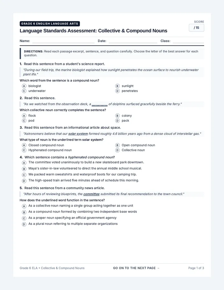 Noun Detectives Quiz