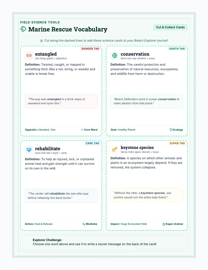 Whisker Rescue Cards