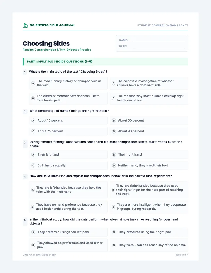 Choosing Sides Worksheet