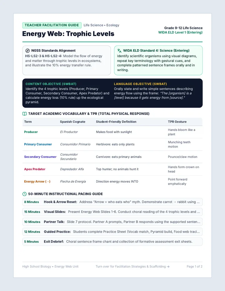 Energy Web Lesson Plan