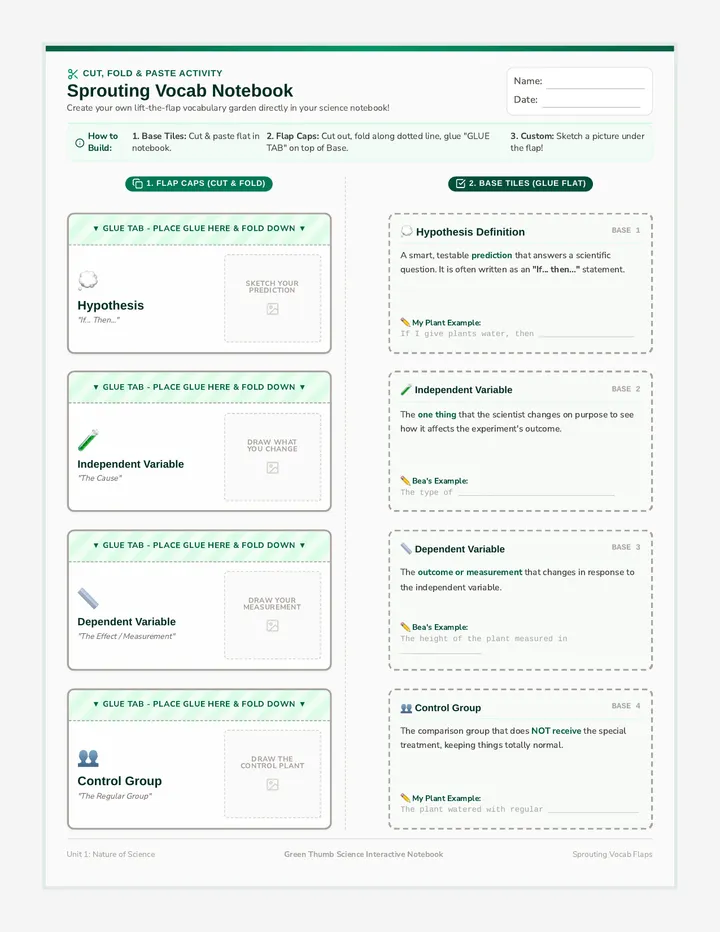 Sprouting Vocab Interactive Notebook