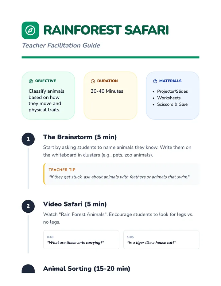 Rainforest Safari Teacher Guide
