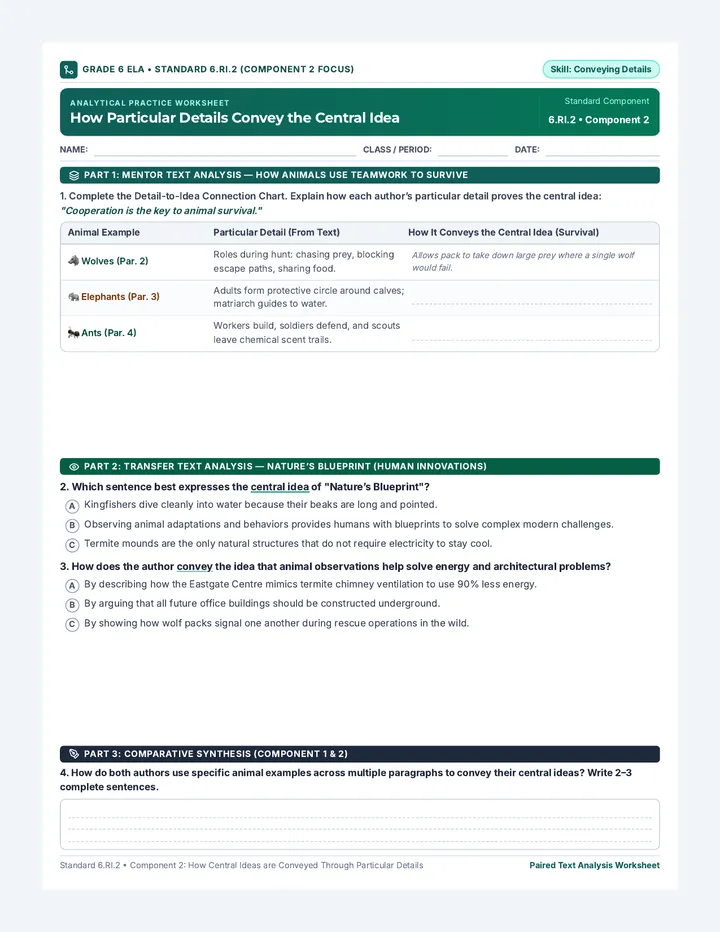 Conveying Details Analysis Worksheet