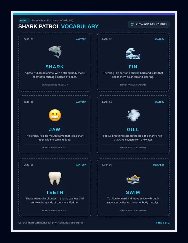 Shark Patrol Flashcards