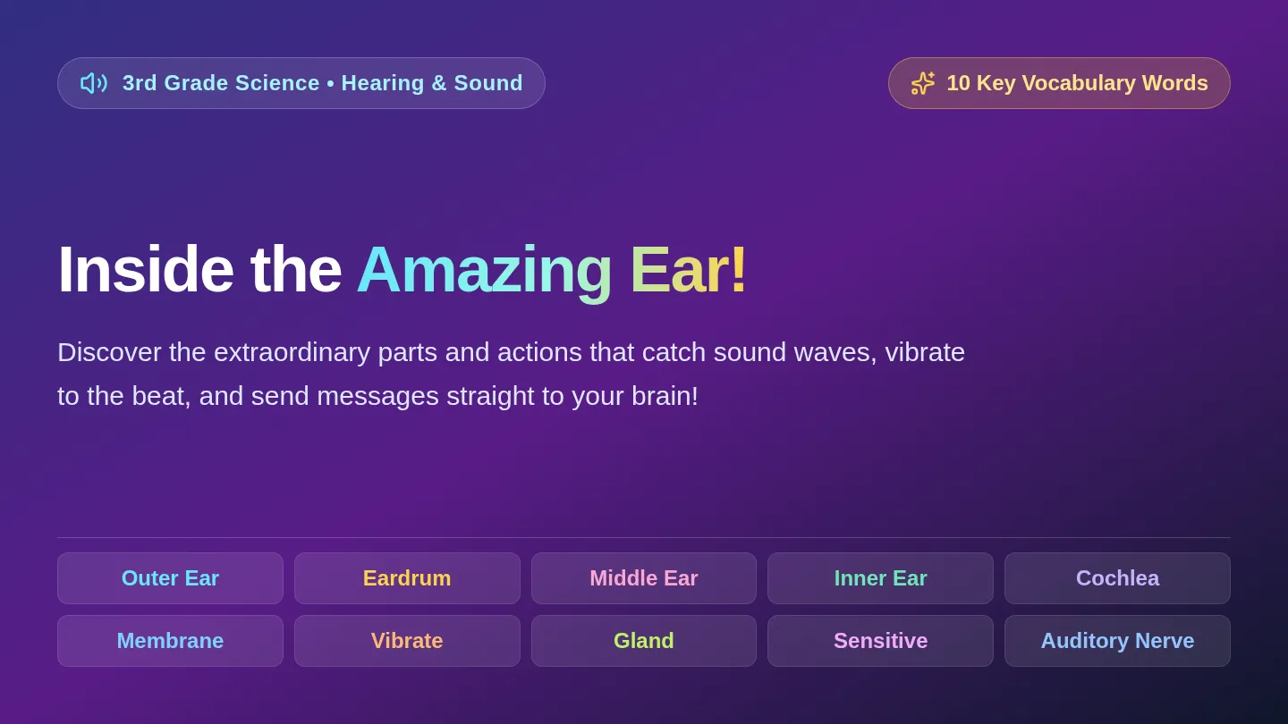 Ear Anatomy Vocab Slides