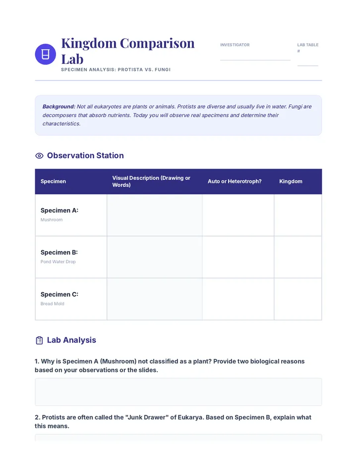 Protist vs Fungi Lab Sheet