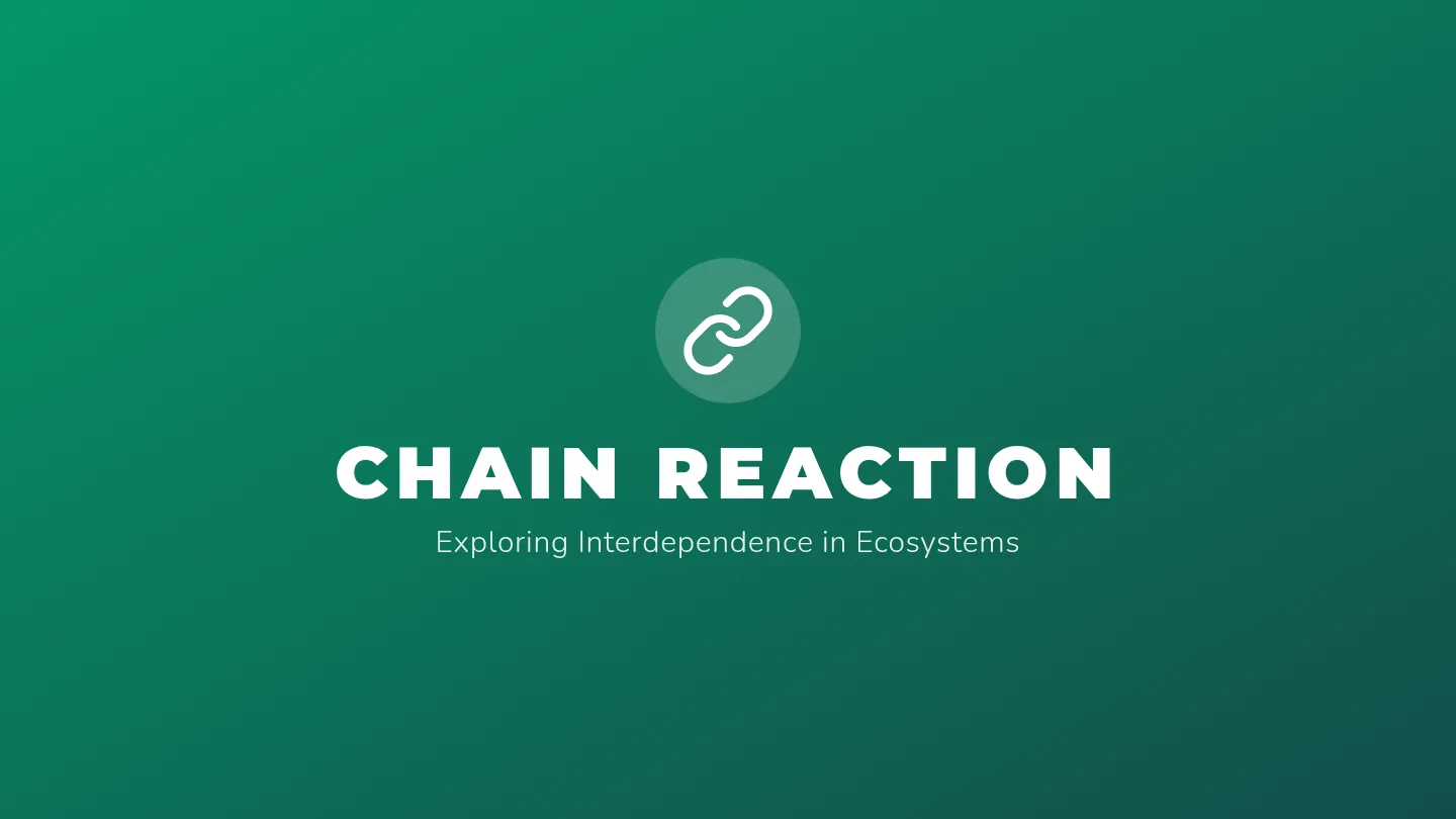 Chain Reaction Slides