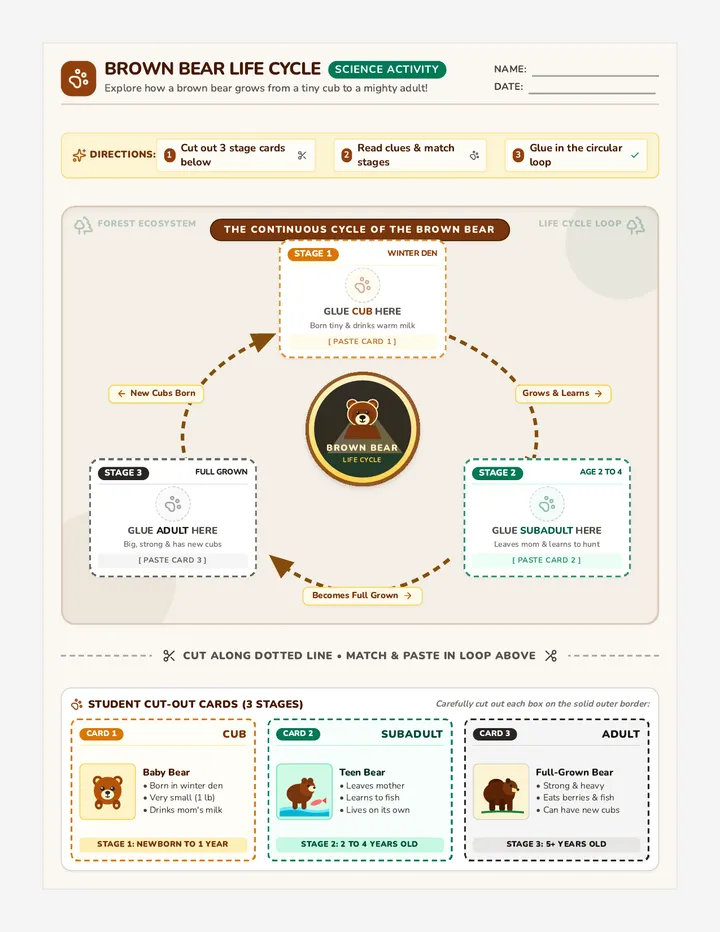 Bear Life Loop Cut and Paste Worksheet