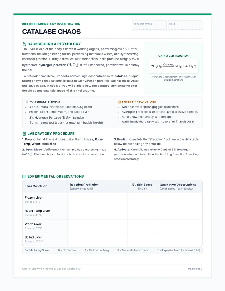 Catalase Chaos Lab Sheet