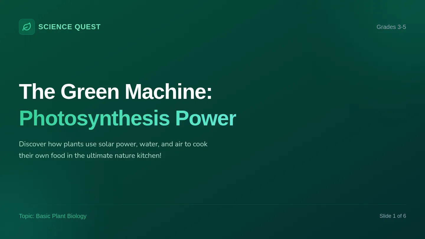 Photosynthesis Slides