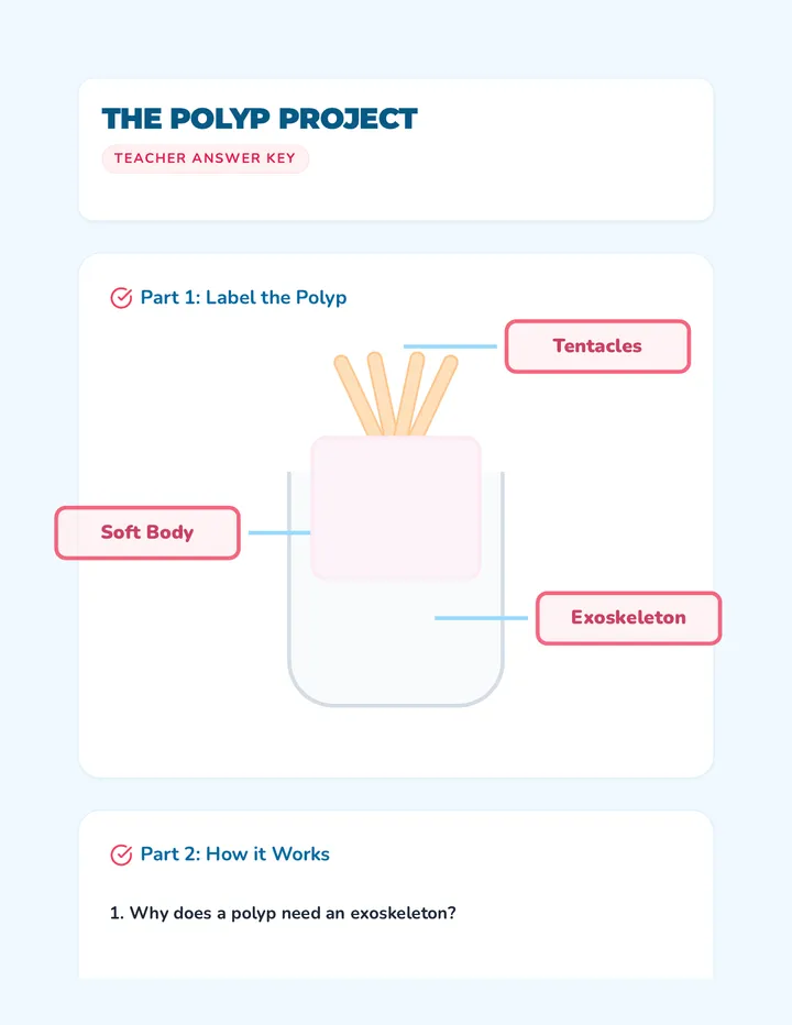 Polyp Parts Answer Key