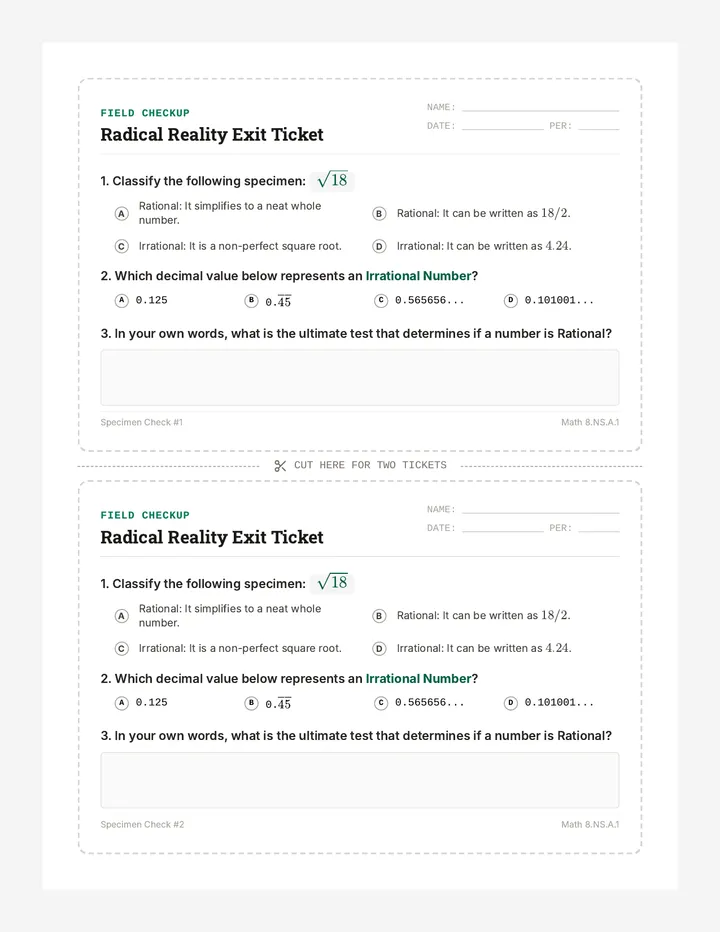 Radical Reality Exit Ticket