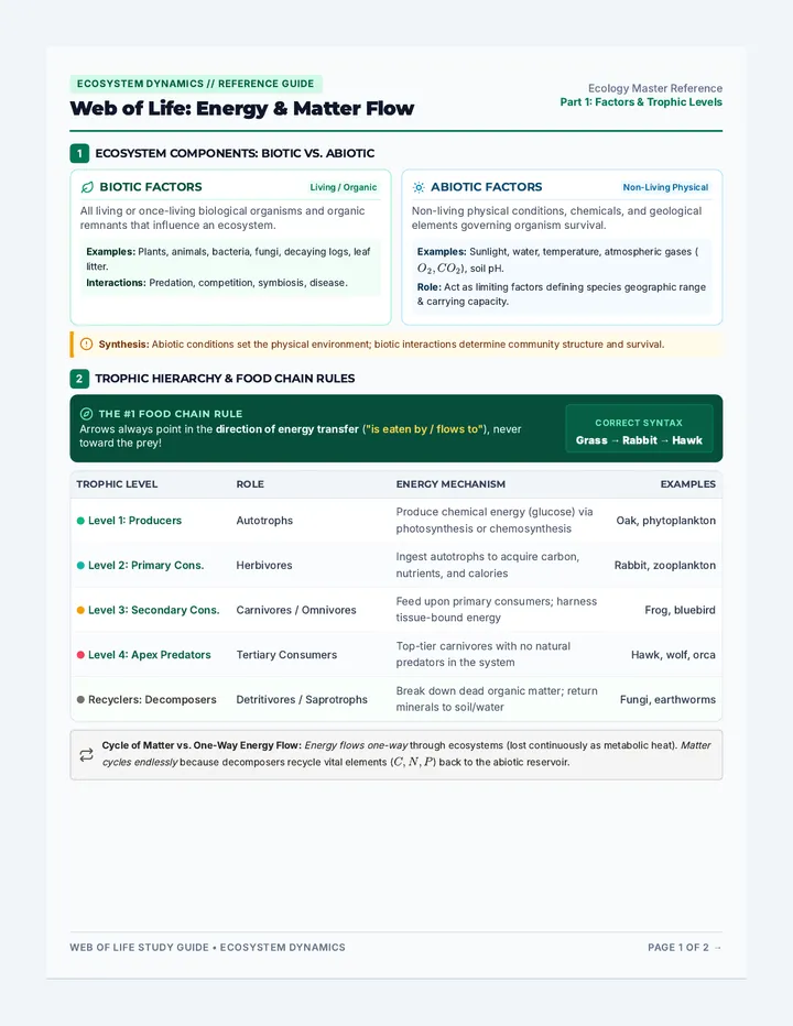 Ecosystem Dynamics Study Guide