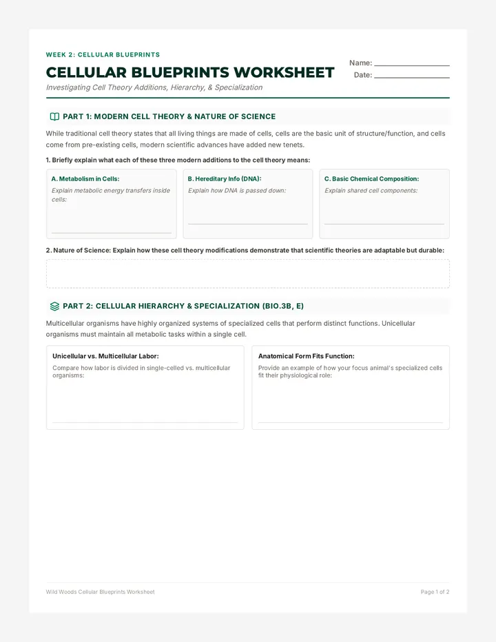 Cellular Blueprints Worksheet