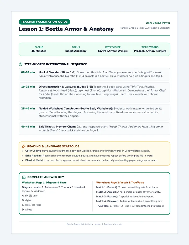 Beetle Armor Teacher Guide