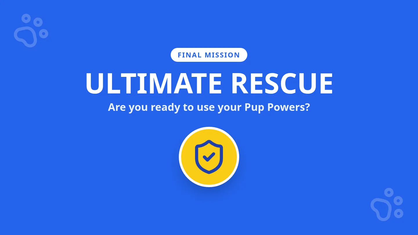 Ultimate Rescue Slides