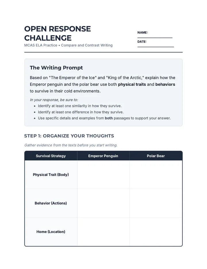 Survival Writing Prompt Document