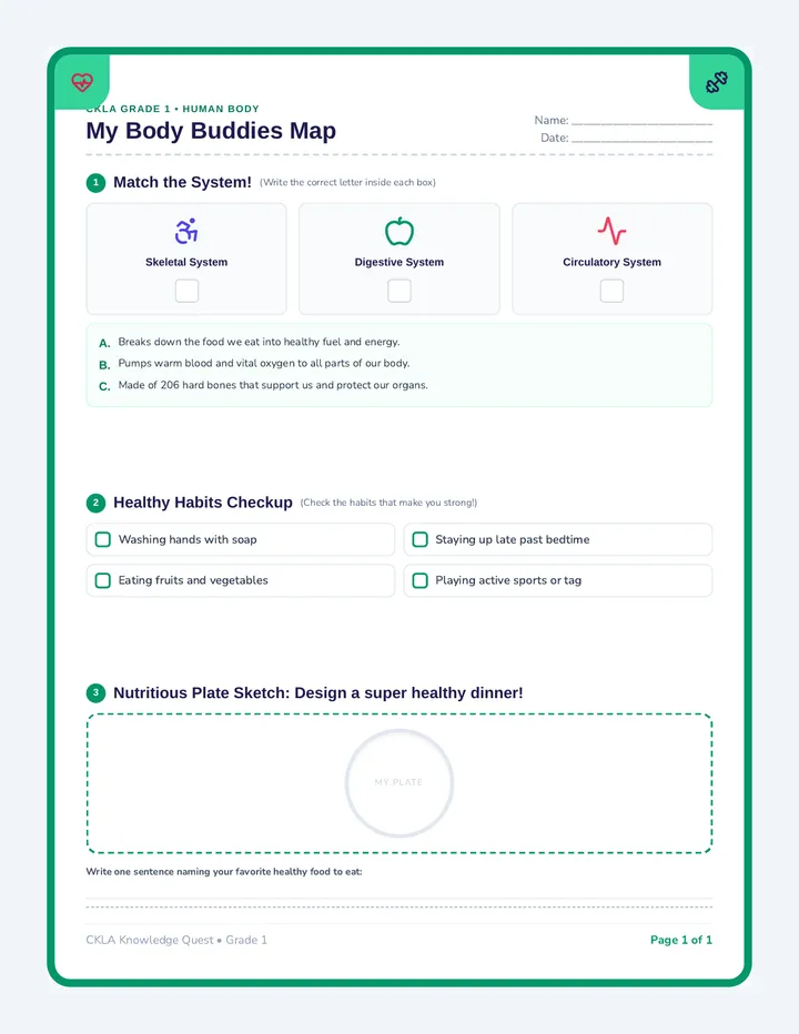Body Buddies Worksheet