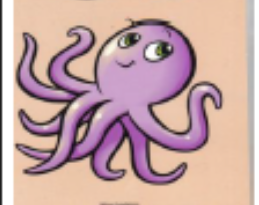 octopus