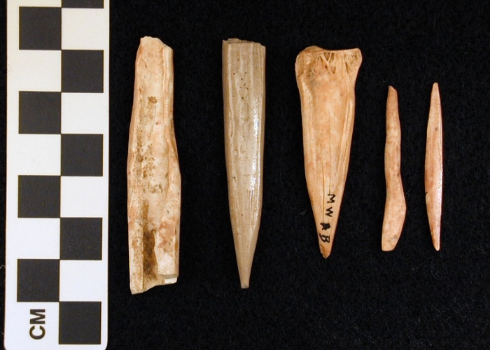 Excavated Paleolithic bone awls and projectile points from Mount Carmel